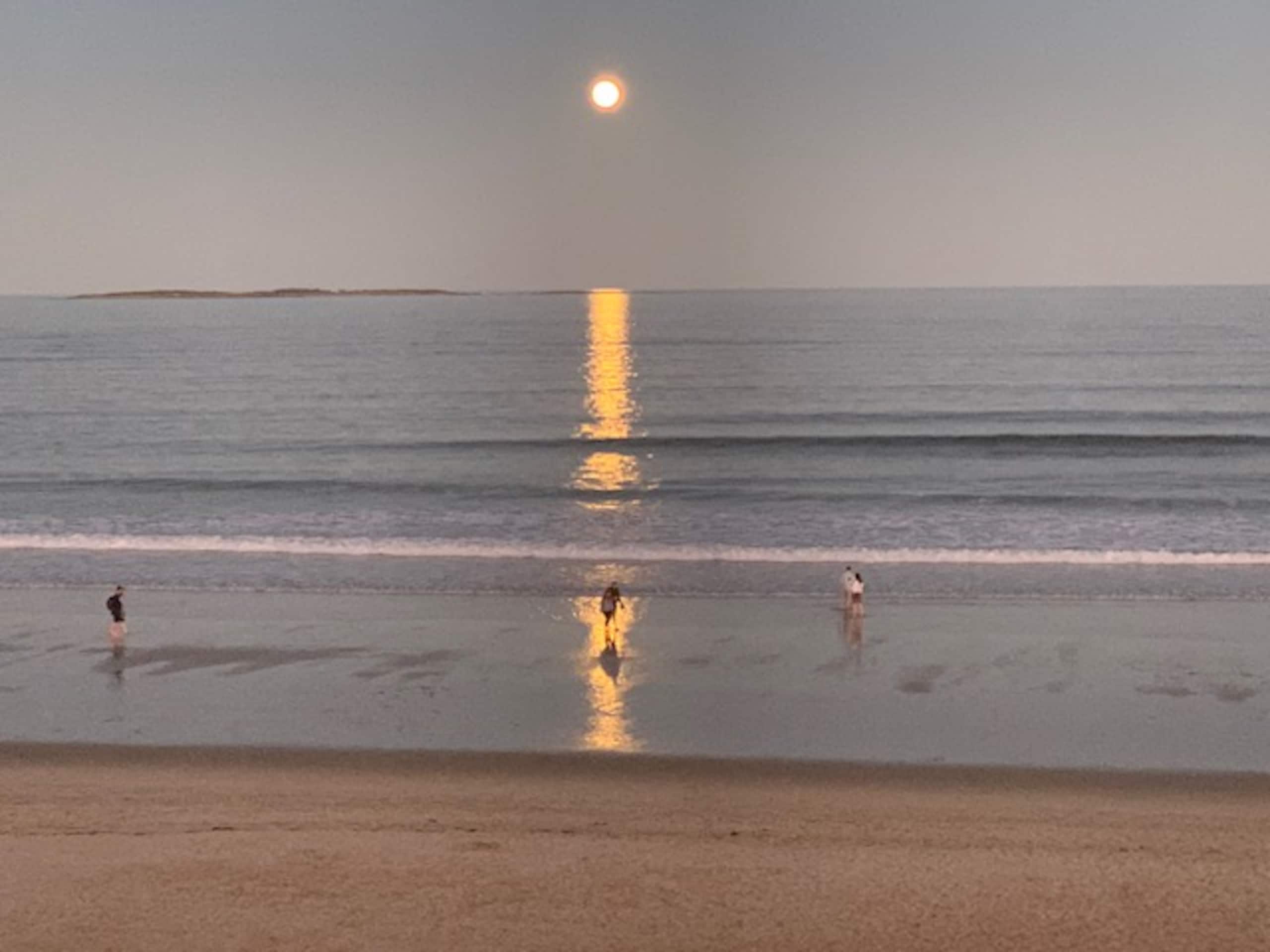Moonrise reflecting on the wet sand at low tide
